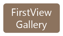 firstview gallery button